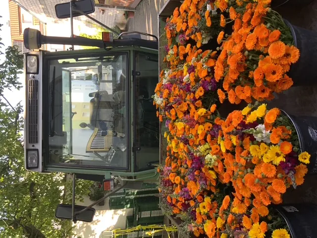 Schnittblumen des Betriebs Tietze aus Sennfeld