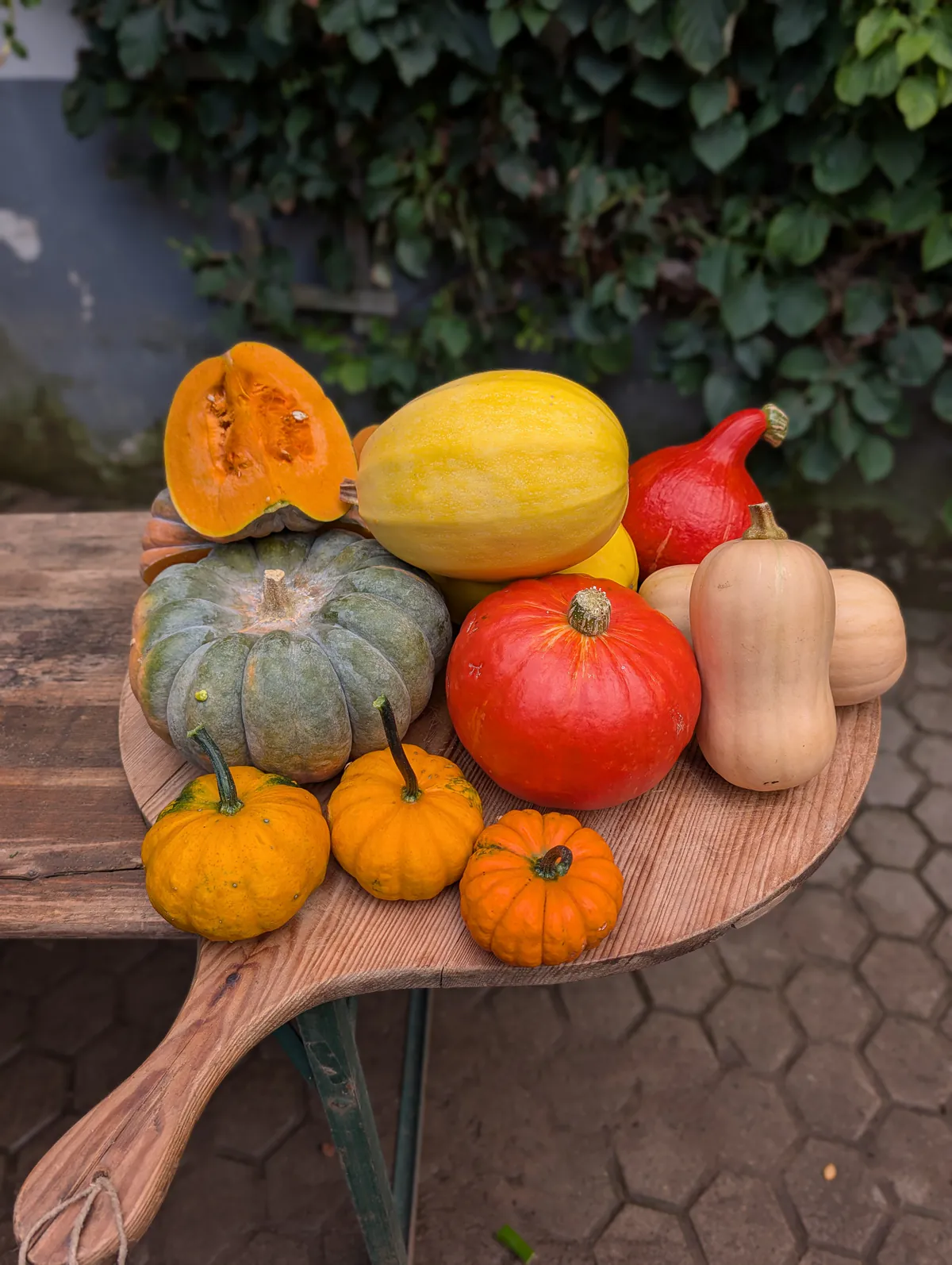 Kürbisvielfalt vom Naturlandbetrieb Tietze aus Sennfeld: Hokkaido, Butternut, Spaghettikürbis, Mini Musk und Jack Be Little