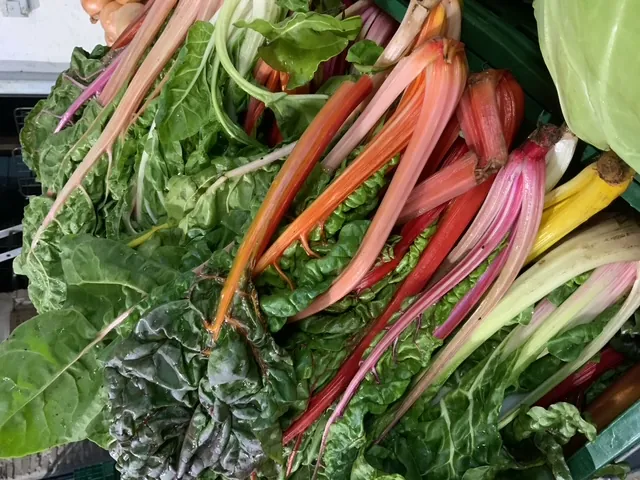 Rhabarber aus Sennfeld